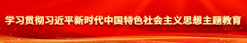 日b肏b学习贯彻习近平新时代中国特色社会主义思想主题教育